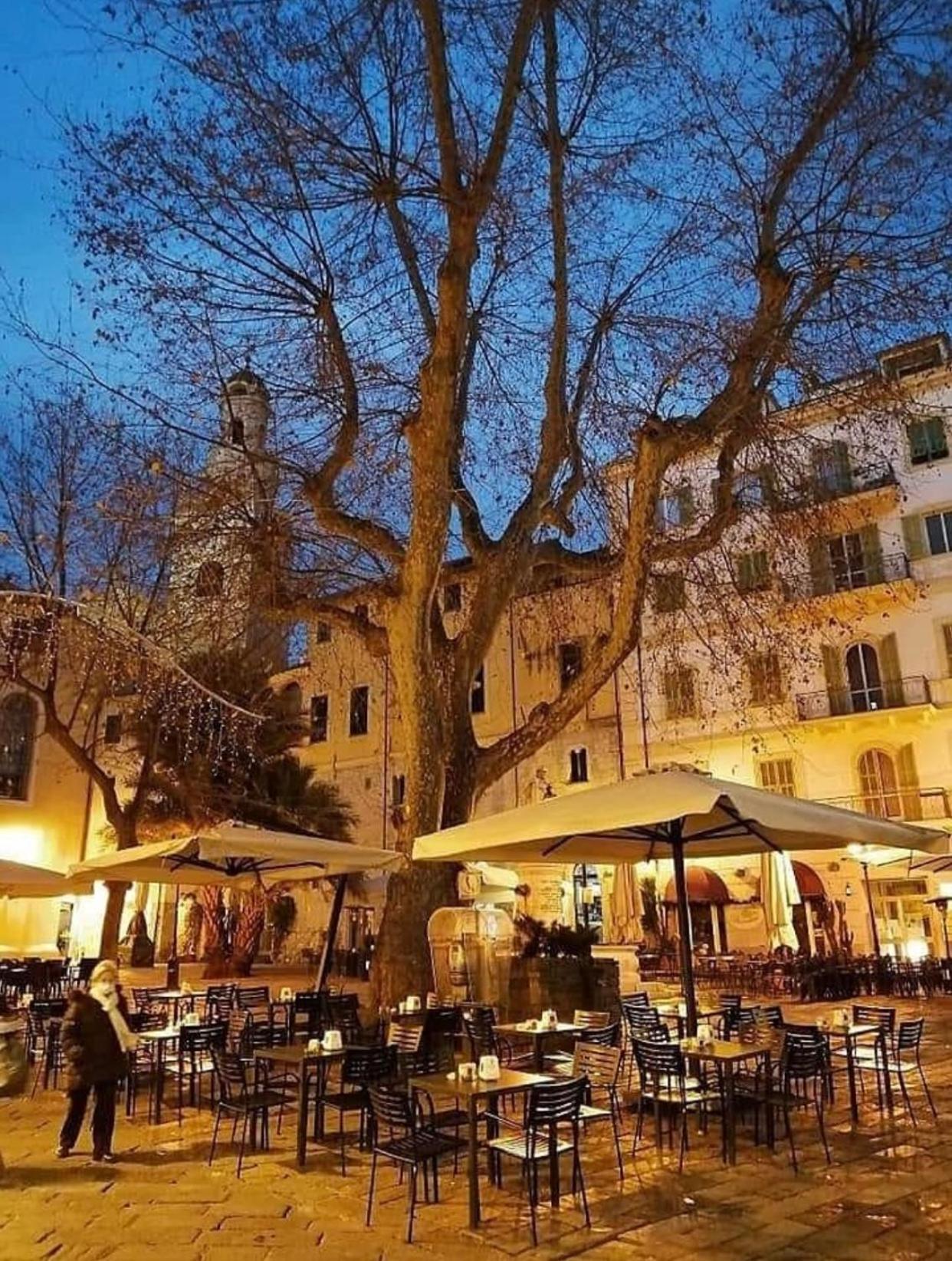 Casa Girasole Sanremo Centro Apartman Kültér fotó